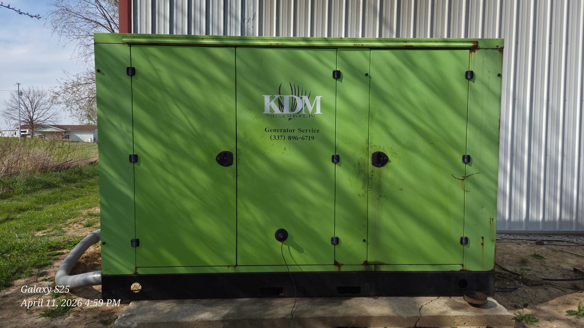 2010 Bluestar CD250-01 250KW Genset