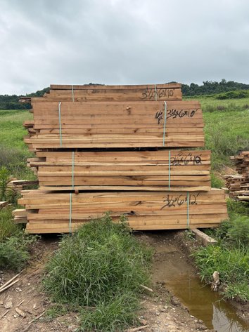 Mixed Hardwood Cants