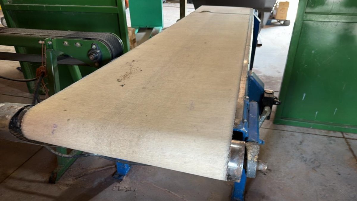 ProCut Belt Conveyor  - Walnut Hill Lumber