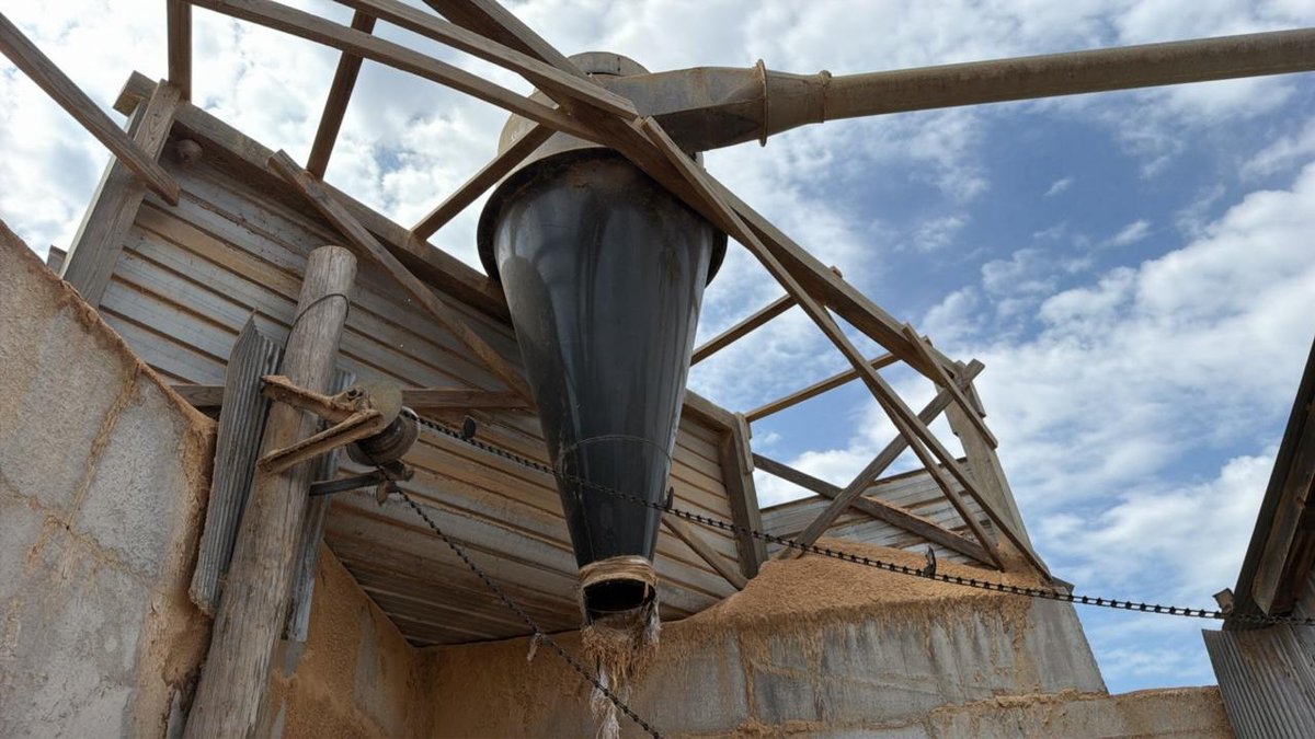 Cyclone Dust Collector  - Walnut Hill Lumber