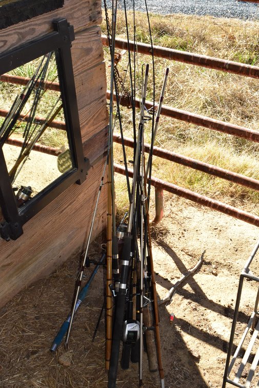 Assorted Fishing Poles