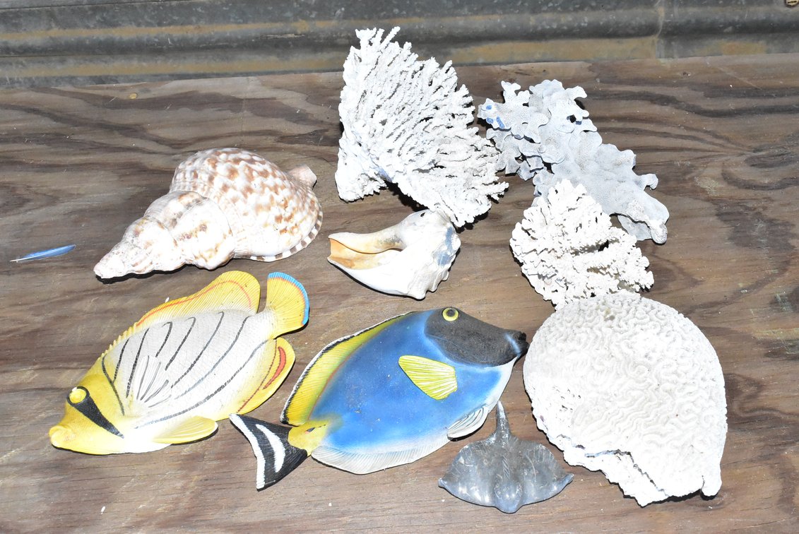 Assorted Fish & Coral Decorations