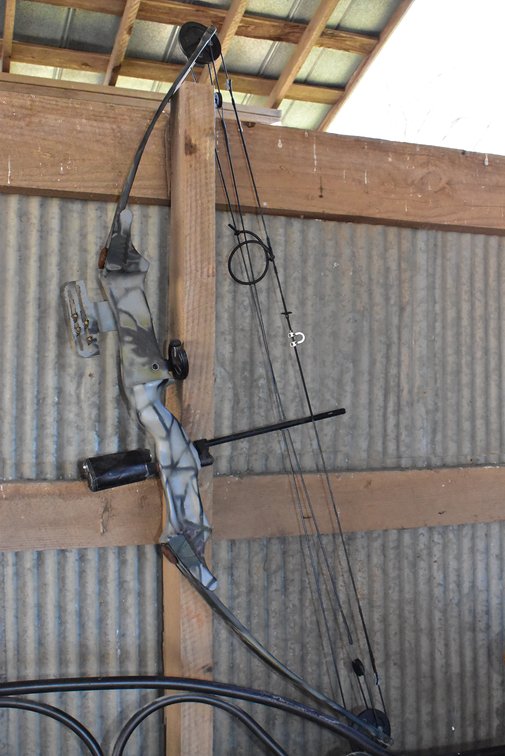 Bear Whitetail II Bow