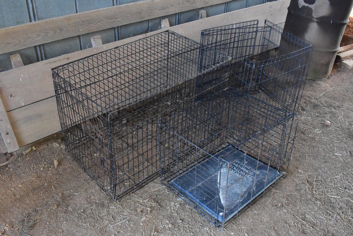 Wire Pet Crates