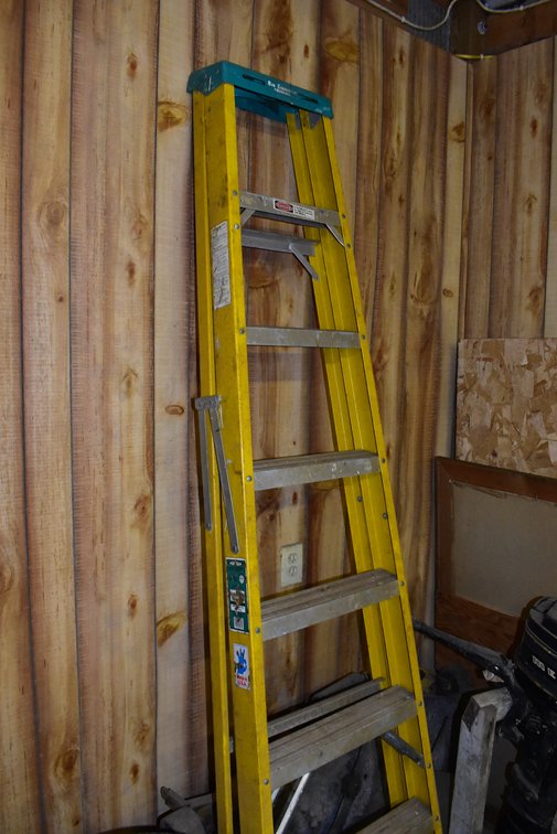 Werner Electro-Master Ladder