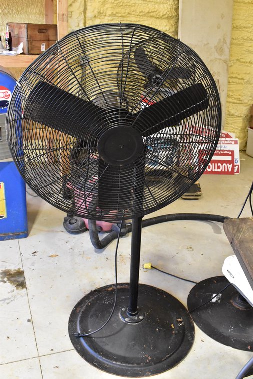 Pedestal Fan