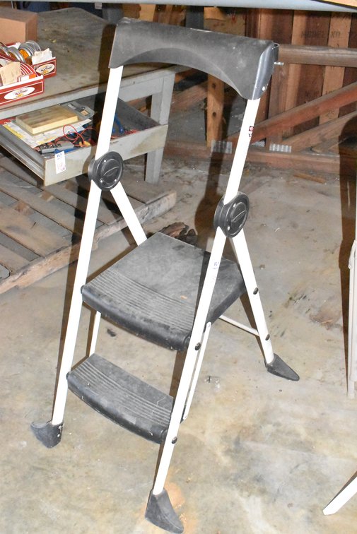 Werner Step Ladder