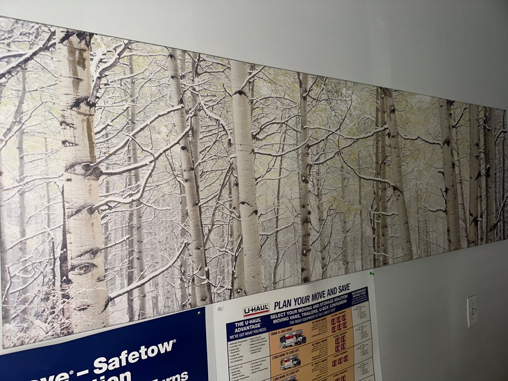 Snow Trees Wall Hanging