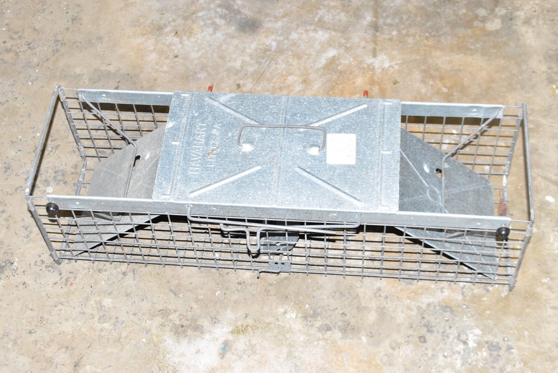 Varmint Trap