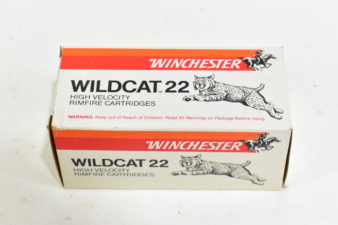 .22 Ammunition
