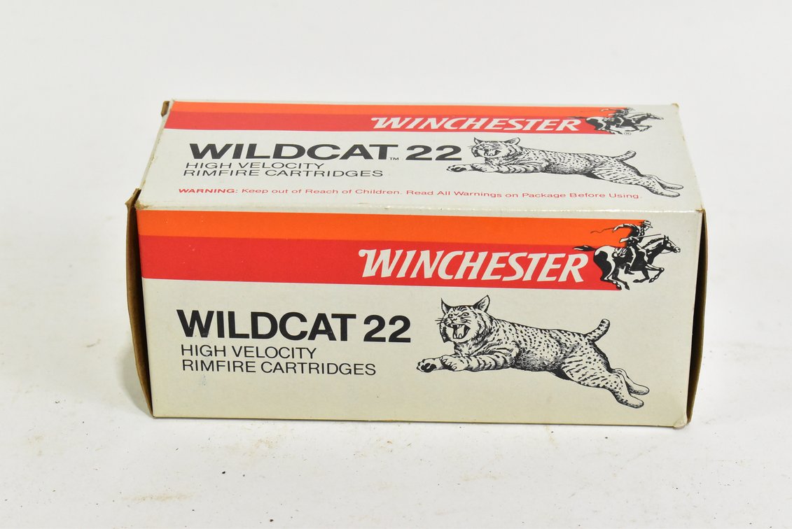 .22 Ammunition
