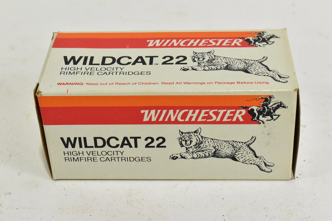 .22 Ammunition