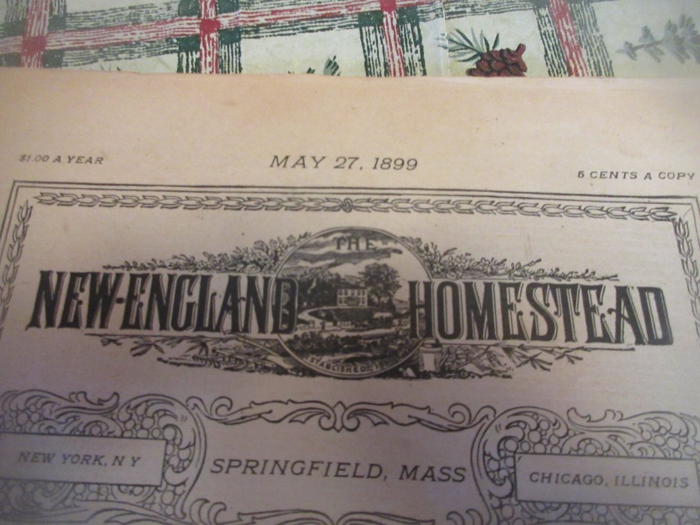 New England Homestead 1899 Deering ad