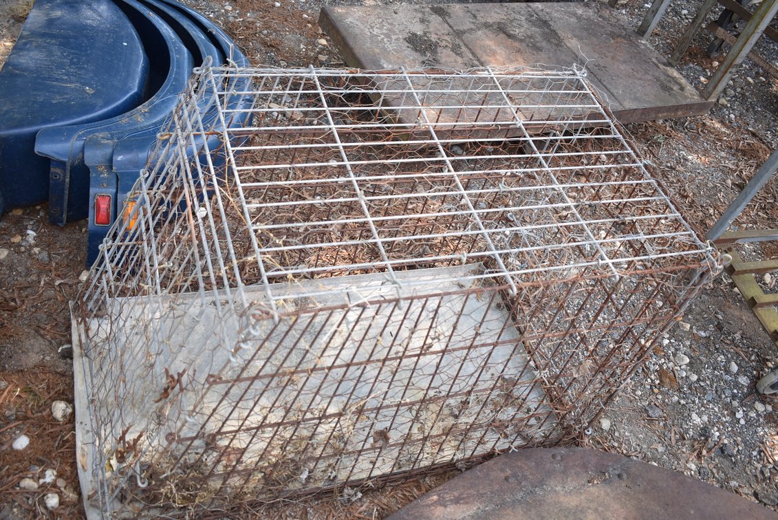 Live Animal Trap