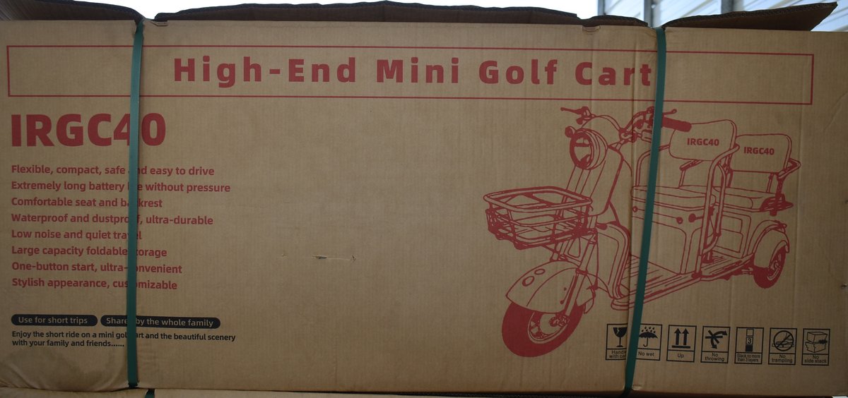 Purple 110V Mini Golf Cart