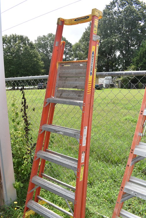 Werner Ladder