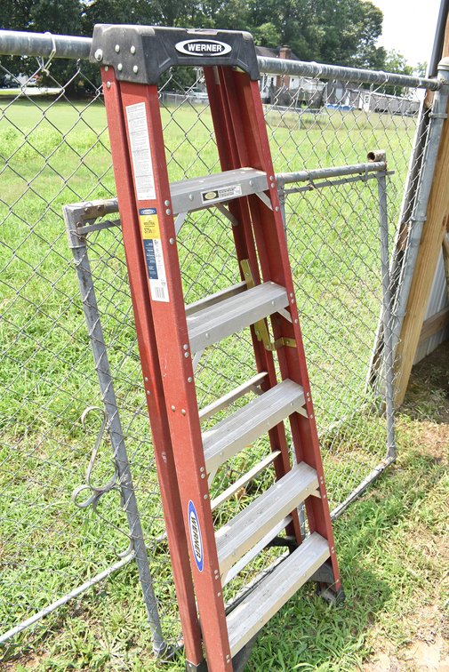 6' Werner Ladder