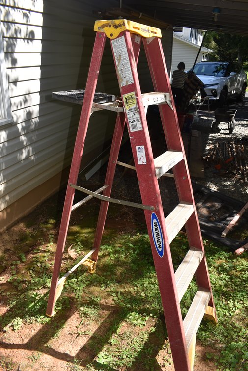 6' Werner Ladder