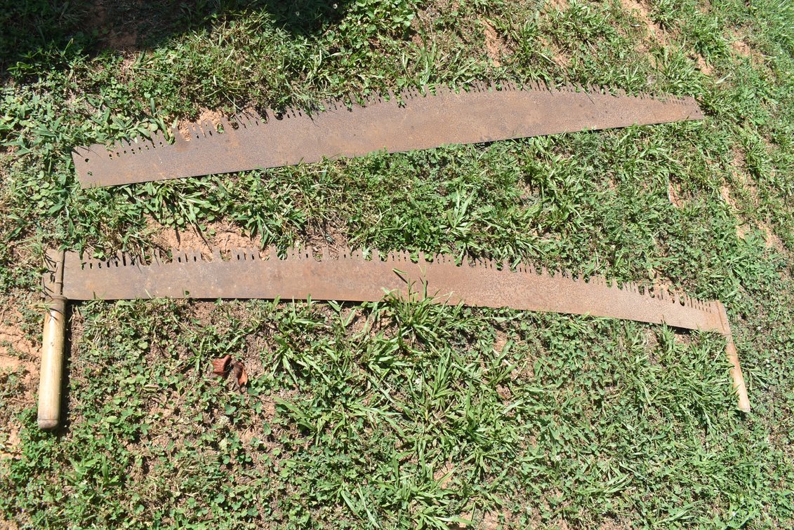 Crosscut Saws