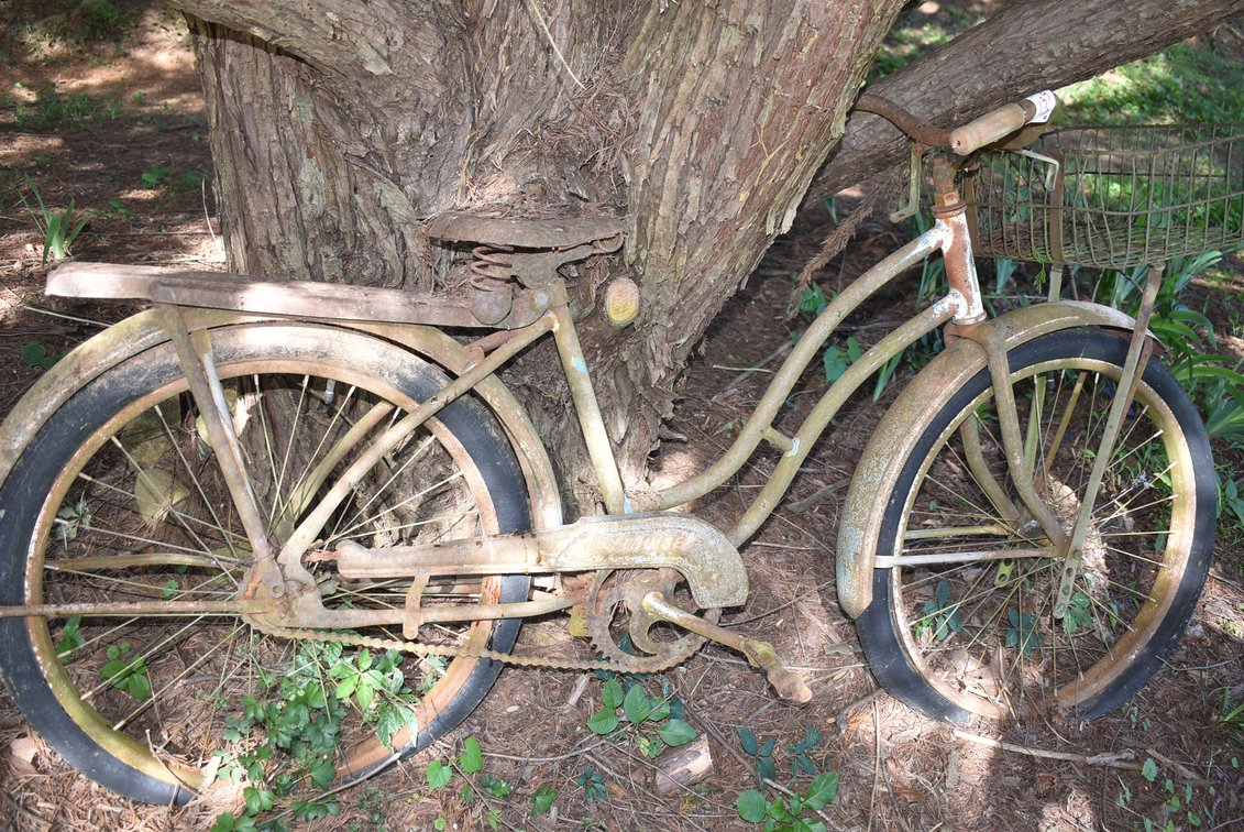 Vintage Bicycle