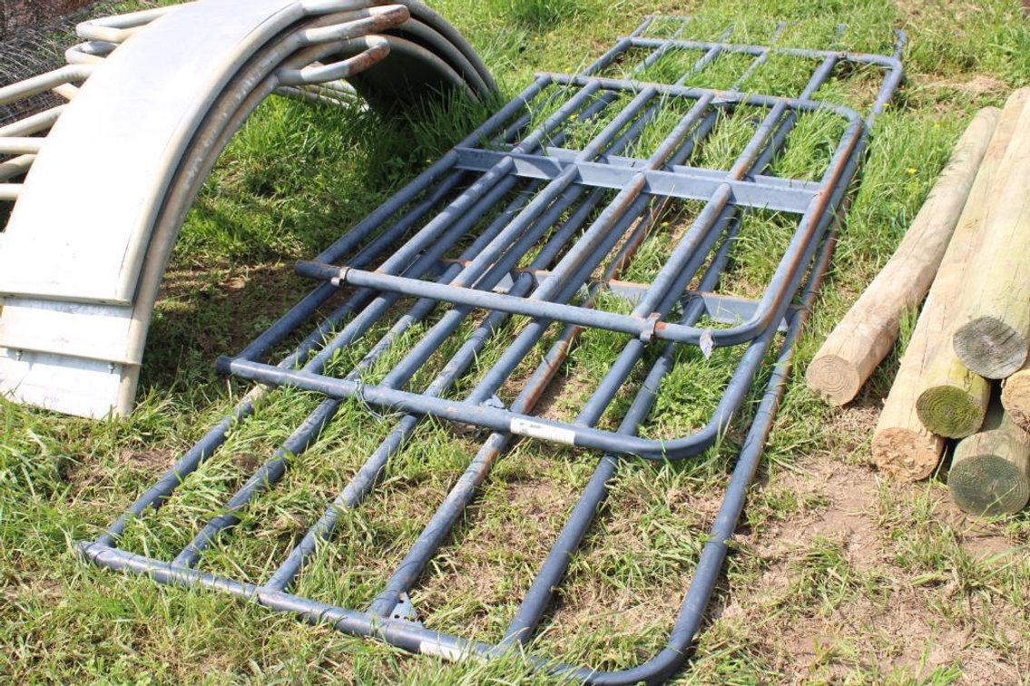 3 Tarter Bar Economy Tube Gates
