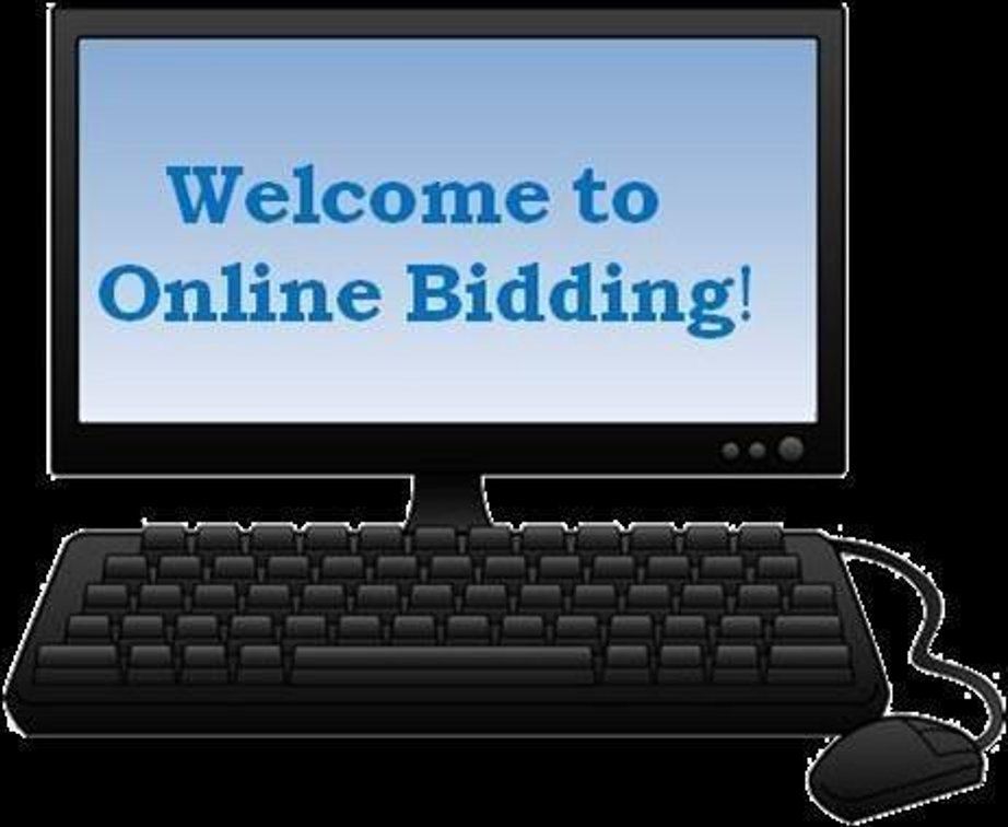 Welcome To Online Bidding! *THESE BIDS DO NOT COUNT