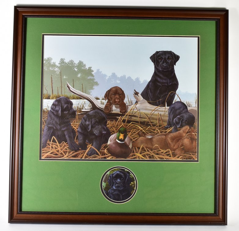 Labrador Dog Scene Framed Picture 