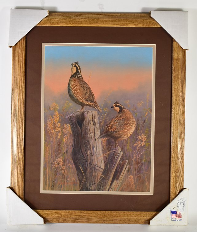 Quail Scene Framed Picture 