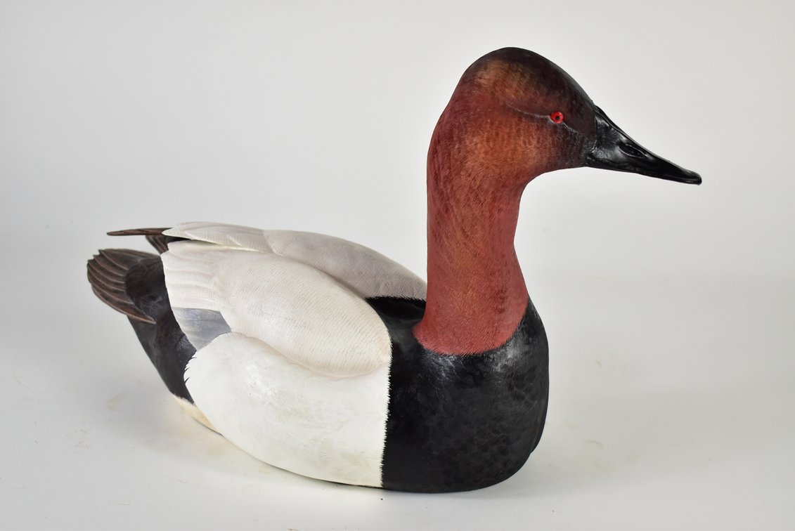 Ducks Unlimited Swan Lake Canvasback Duck Decoy 