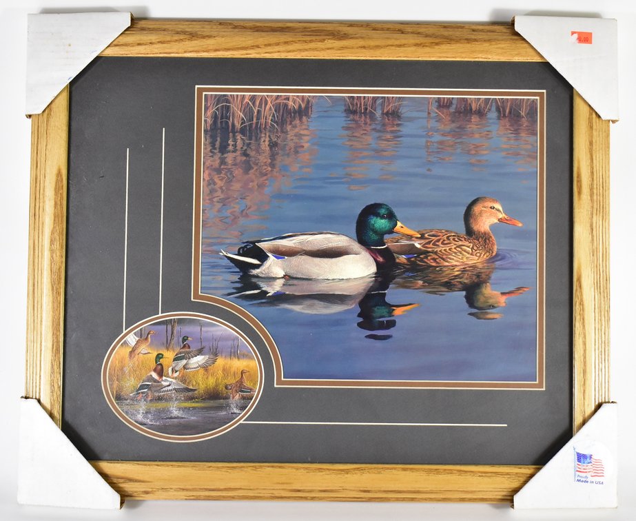 Duck Scene Framed Picture 