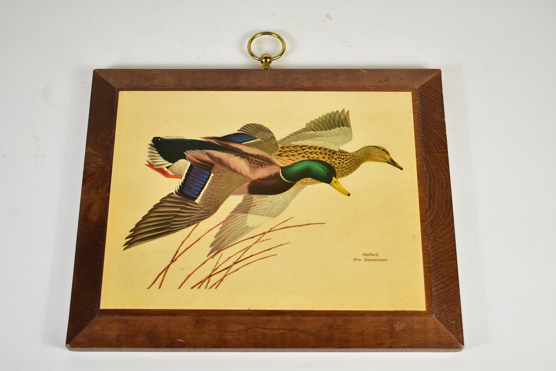 Flying Mallard Ducks Scene Wall Decoration 