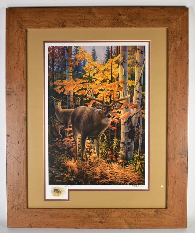 Deer Scene Framed Picture 
