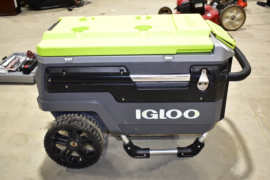 Igloo Cooler 