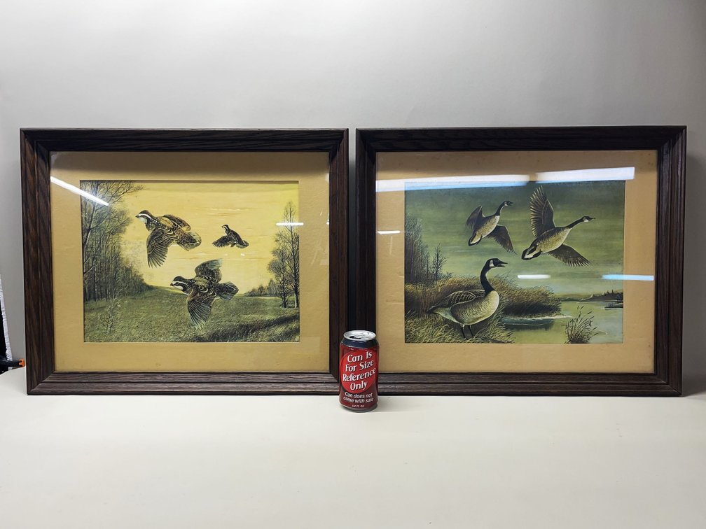 Pair of Framed Decorative Waterfowl Prints - 22" x 18"