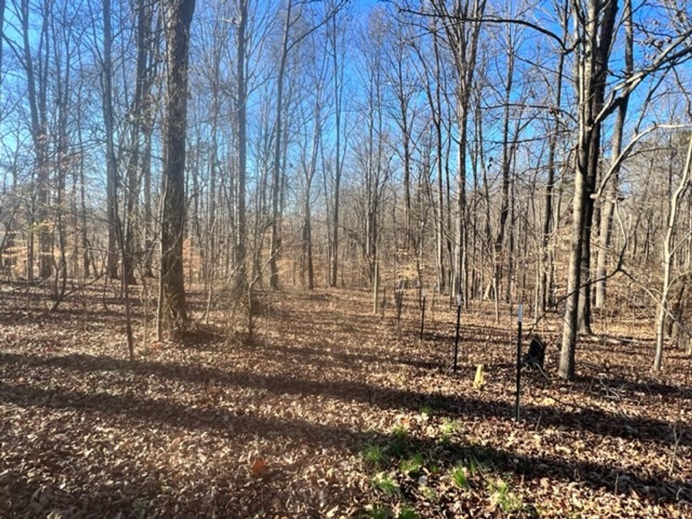 Image for 112 Hardwood Circle-COURT ORDERED REAL ESTATE