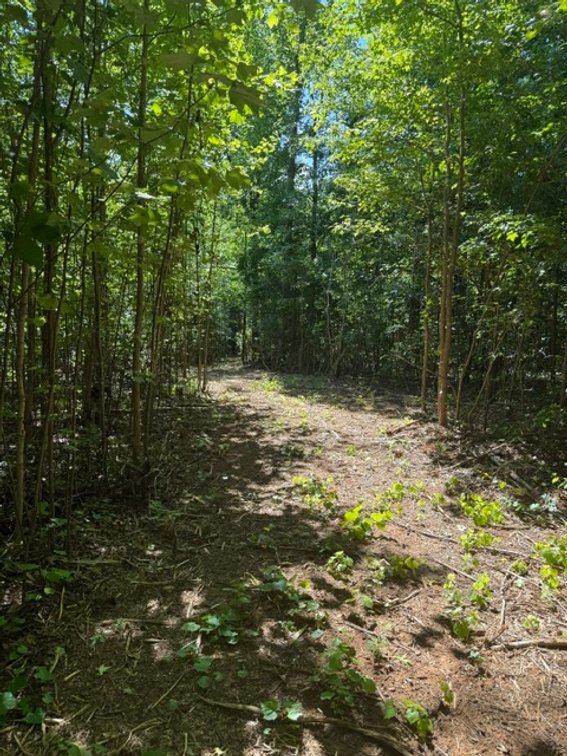 Image for 607 Anthony Grove Road, Crouse, NC-REAL ESTATE