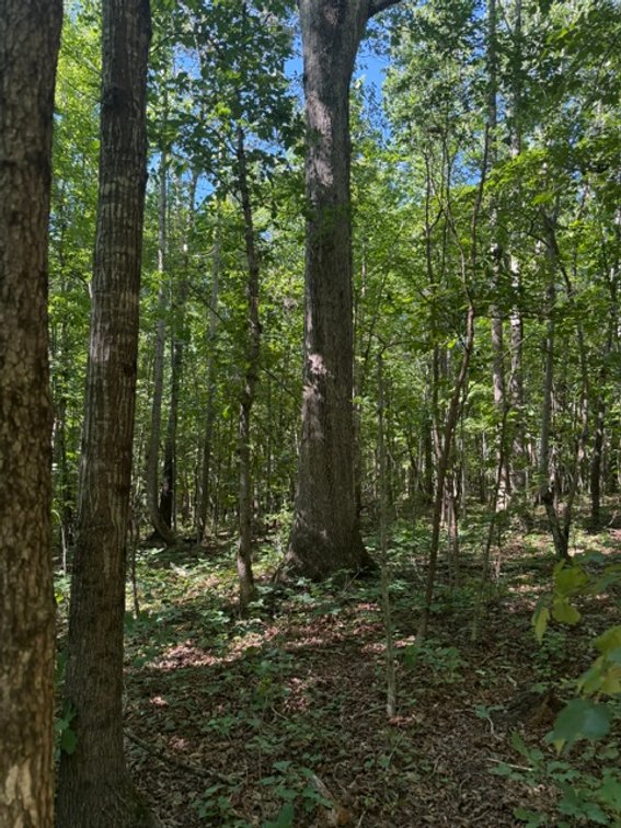 Image for 607 Anthony Grove Road, Crouse, NC-REAL ESTATE