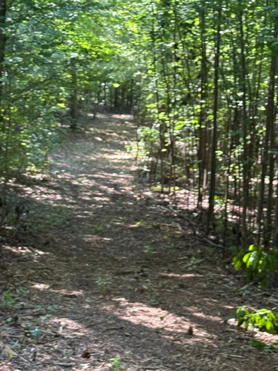 Image for 607 Anthony Grove Road, Crouse, NC-REAL ESTATE