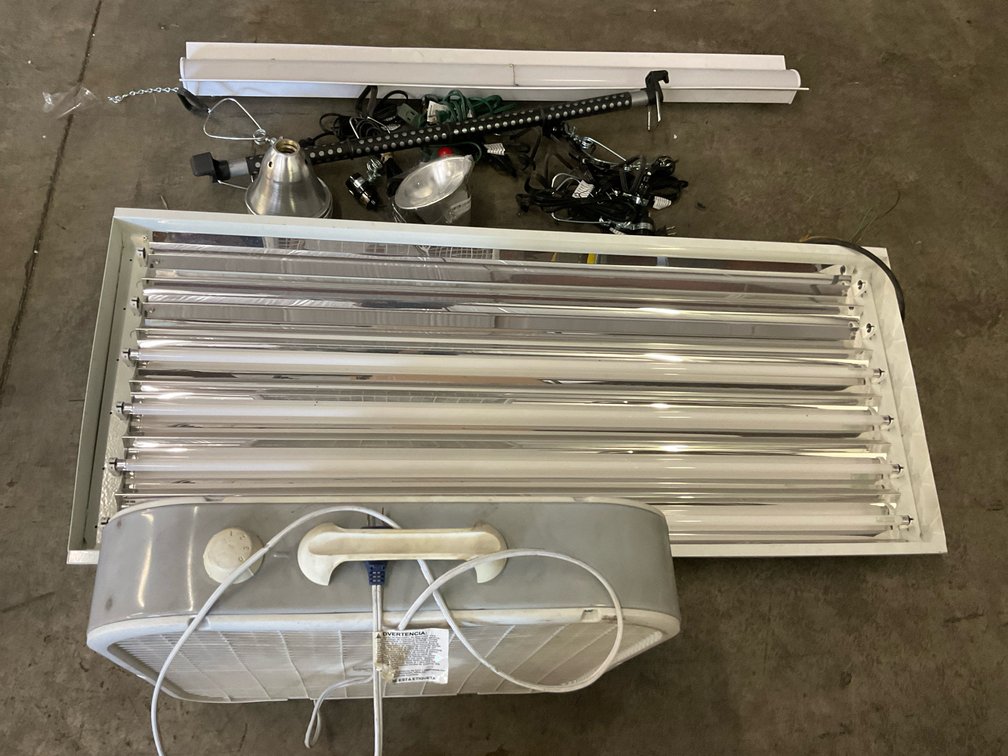 Various Lighting