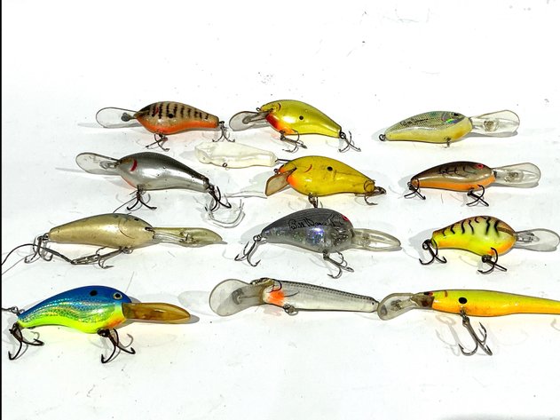 Image for Bill Dance Fat Free Shad Crankbait Lures