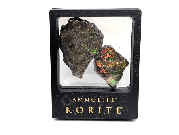 Image for Framed Korite Ammolit Gemstone