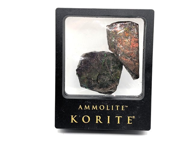 Image for Framed Korite Ammolit Gemstone