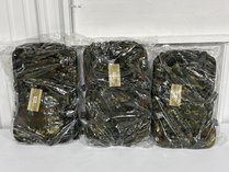 Mil-Tec 14002221 Tactical Backpacks