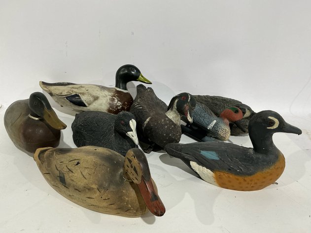 Image for Feather-Lite Assorted Duck Decoys