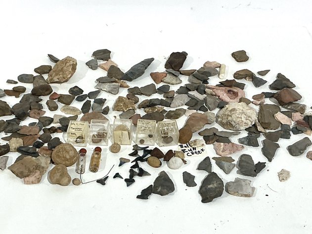 Image for Lithic Artifacts And Fossil Specimens