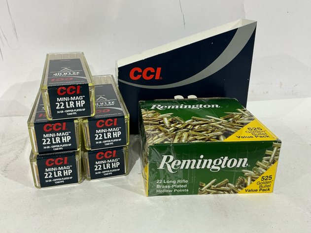 Image for 22 LR Rimfire Ammunition