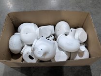 Purple Martin Gourds