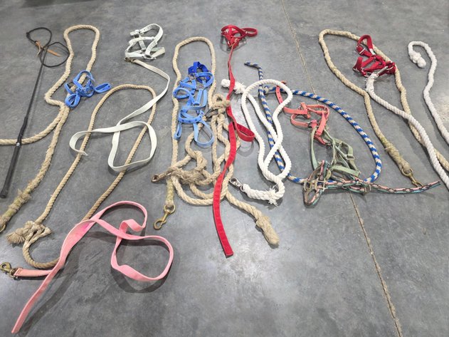 Image for Livestock Halters Lead Ropes And Whip