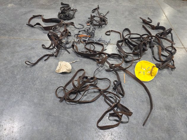Image for Leather Horse Harness And Tack Lot