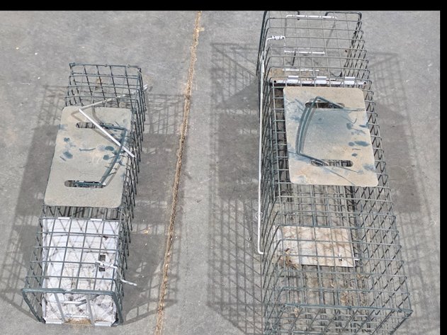 Image for Two Wire Mesh Live Animal Traps